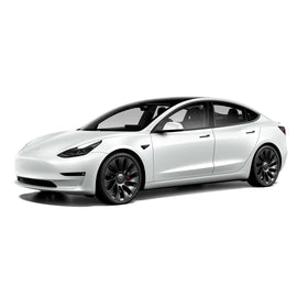 Tesla Model 3 Performance 18" Winter Package