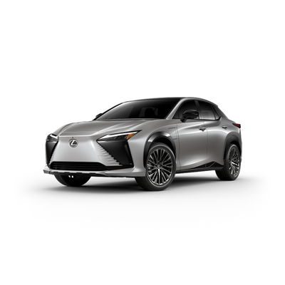 Lexus RZ Winter Package